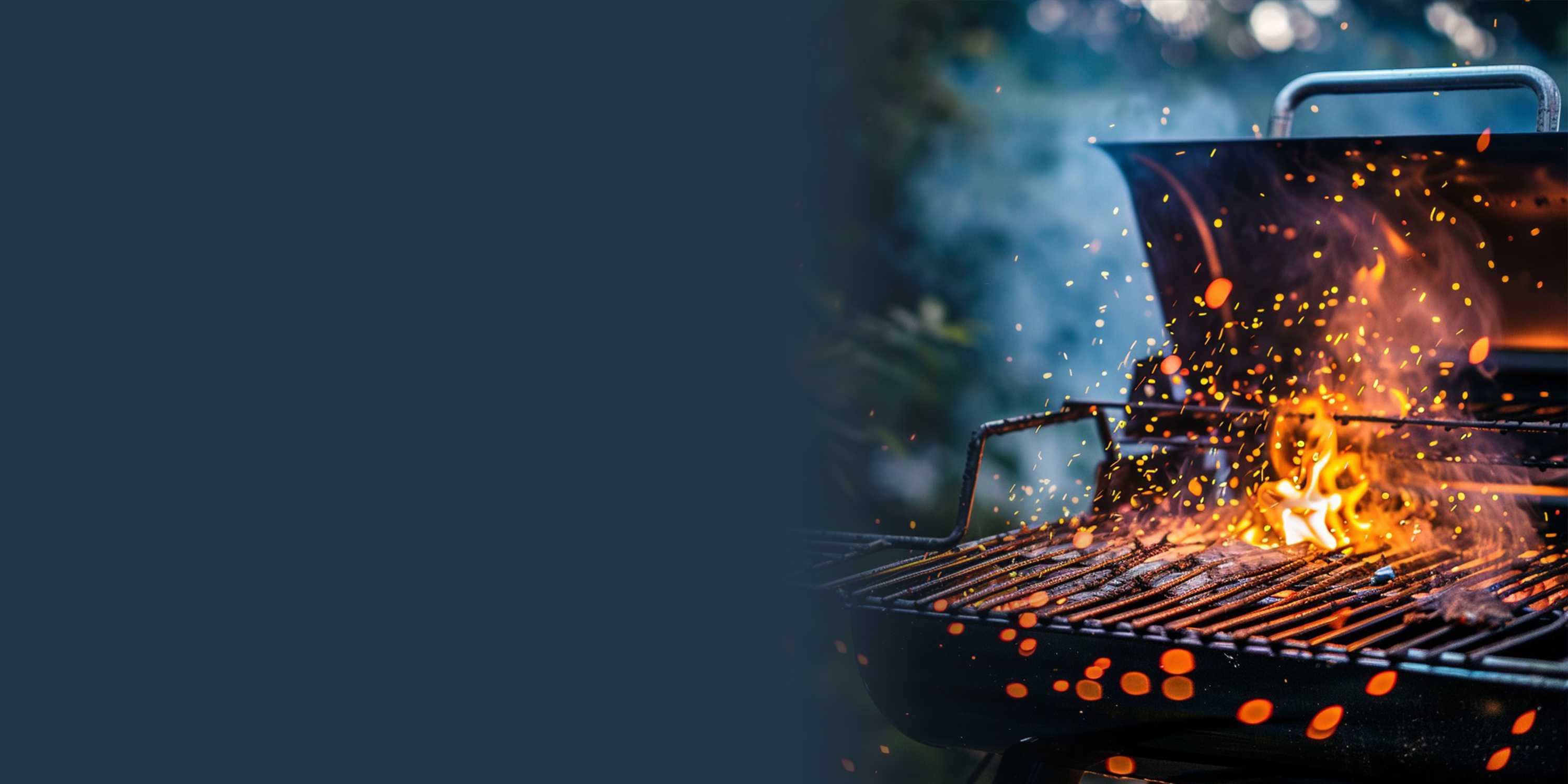 Firelighters, Charcoal, Firewood, Kindling | Home - Ecoblaze