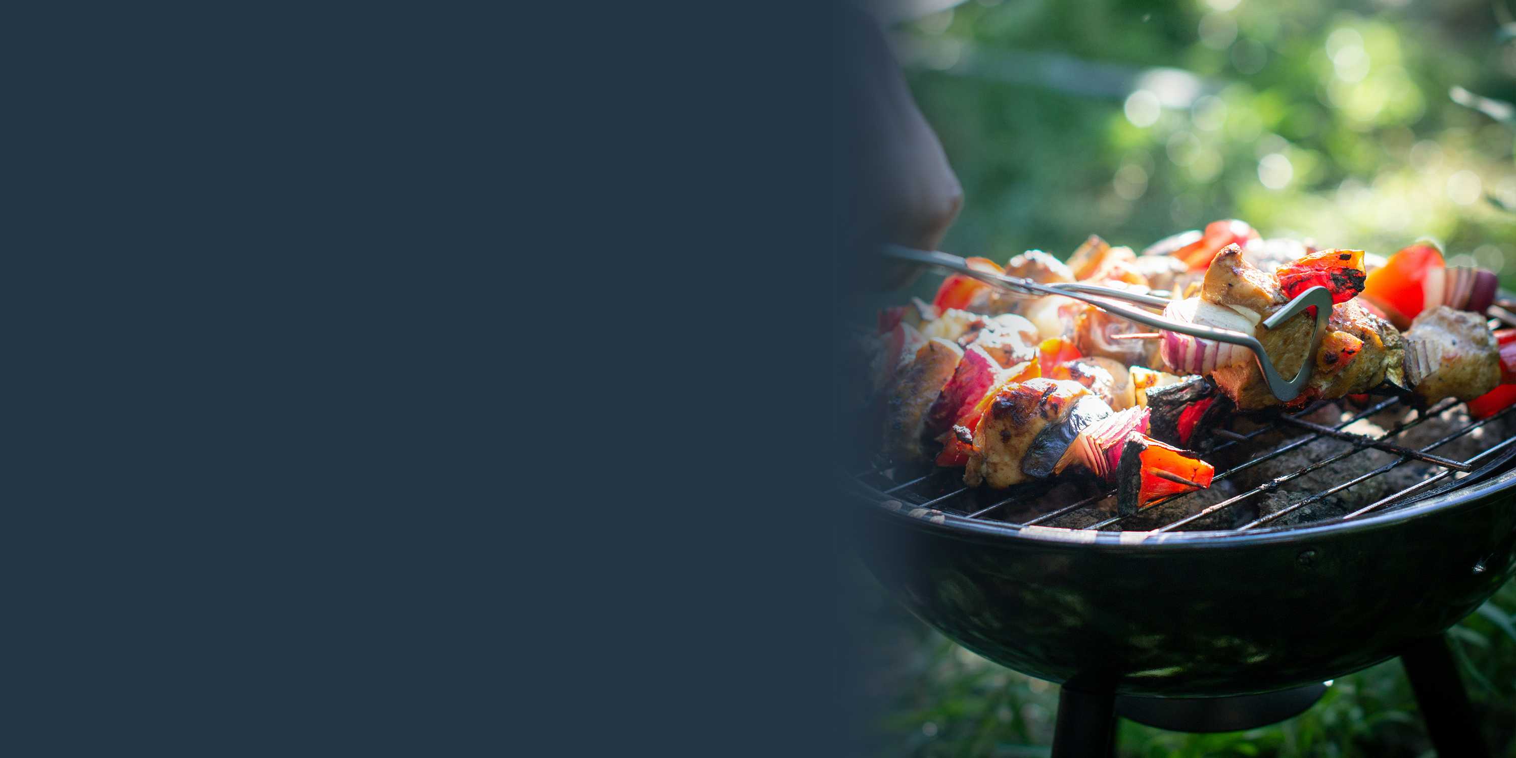 Firelighters, Charcoal, Firewood, Kindling | Home - Ecoblaze